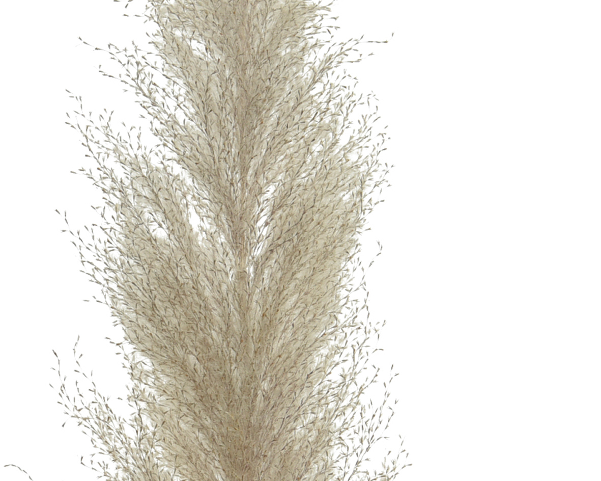 Ամանորյա աքսեսուար ճյուղ natural, 11x5x125սմ