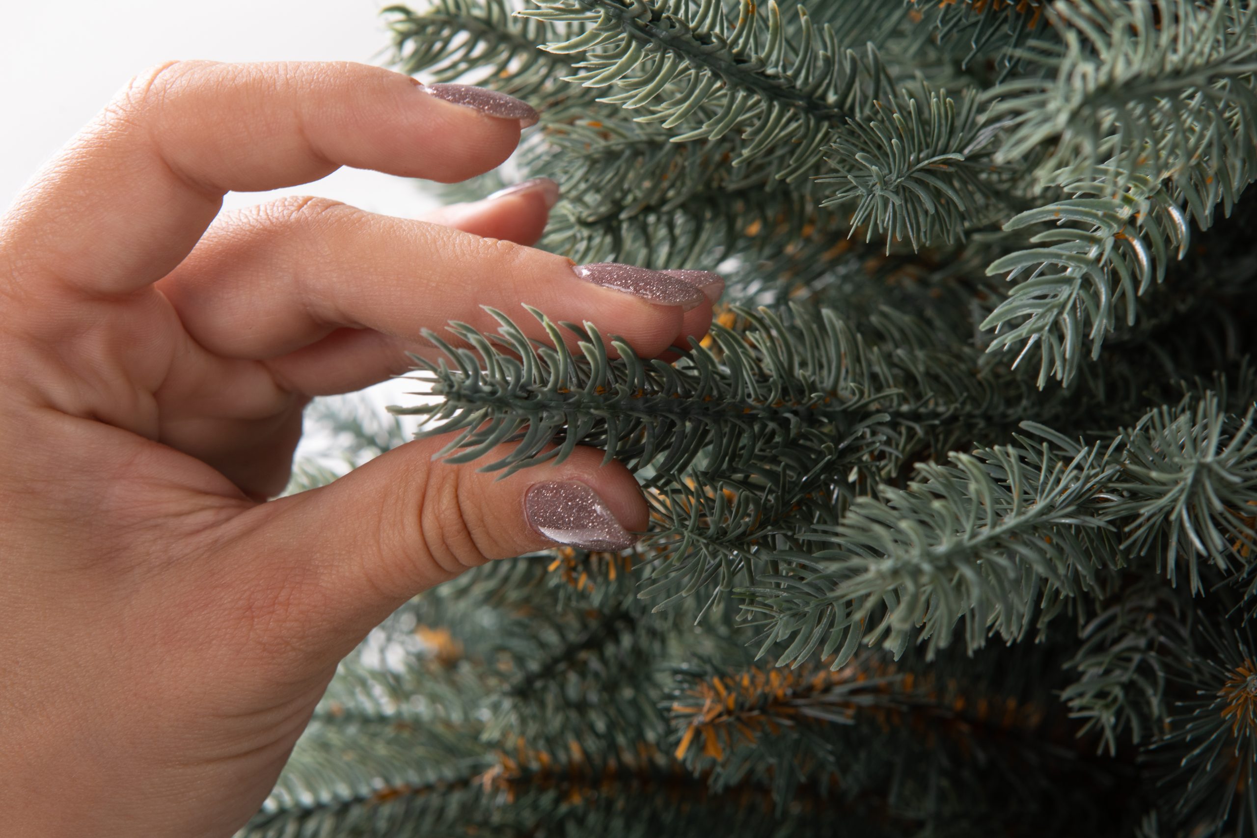 Տոնածառ SILVER SPRUCE IN POT PE , 80 սմ, Ø 58սմ