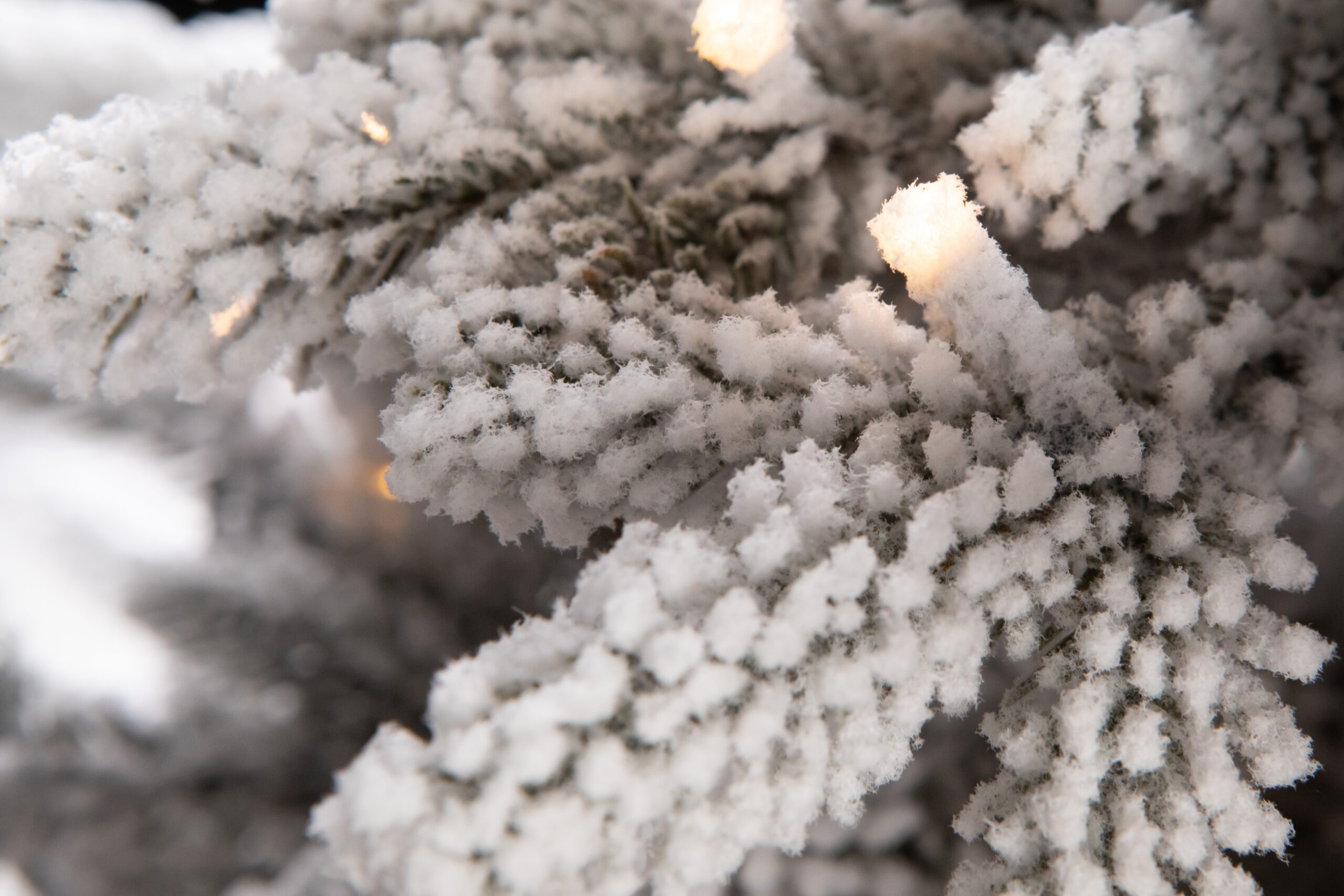 Տոնածառ CANADIAN SPRUCE PE Snow, 250 սմ, Մ 155սմ