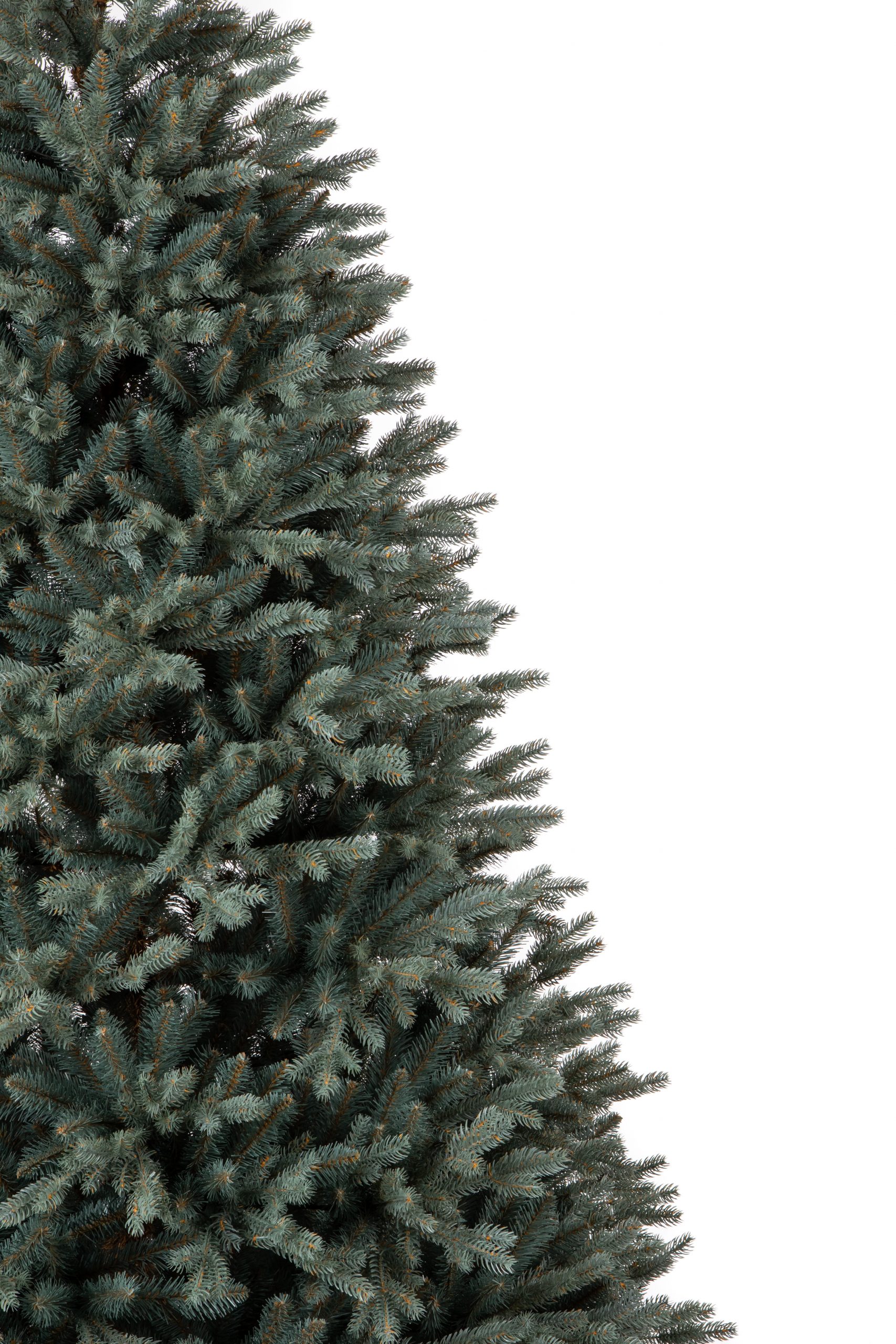 Տոնածառ Silver spruce PE Exclusive, 250 սմ, Մ 156սմ