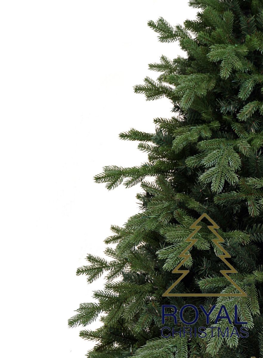 Տոնածառ Spitsbergen pe premium,240 սմ, Ø 144սմ