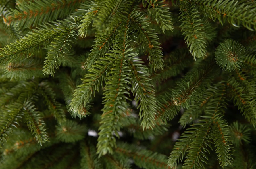 Տոնածառ SCANDINAVIAN SPRUCE PE Exclusive, 220 սմ, Ø 138սմ