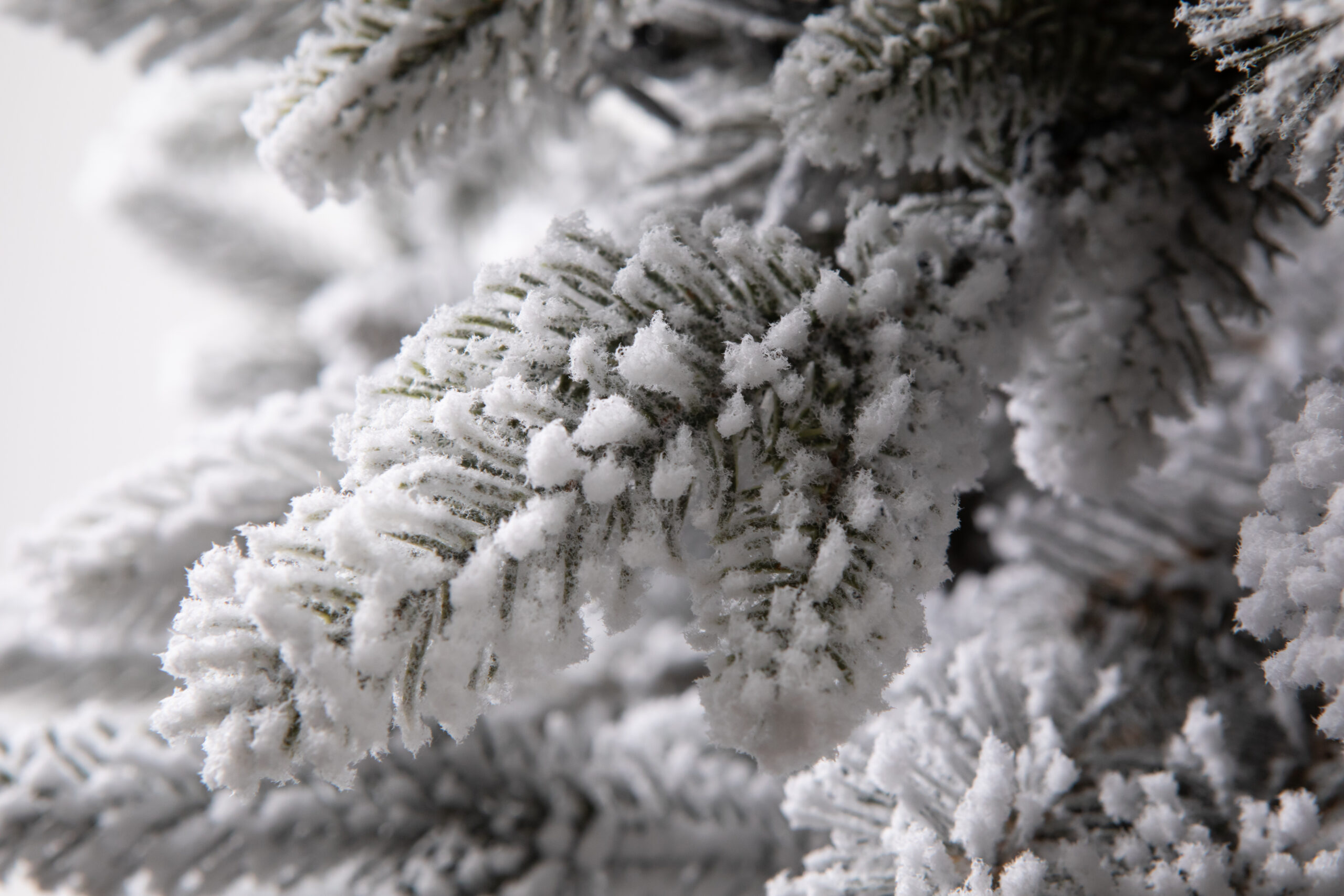 Տոնածառ CANADIAN SPRUCE PE Snow, 250 սմ, Մ 155սմ