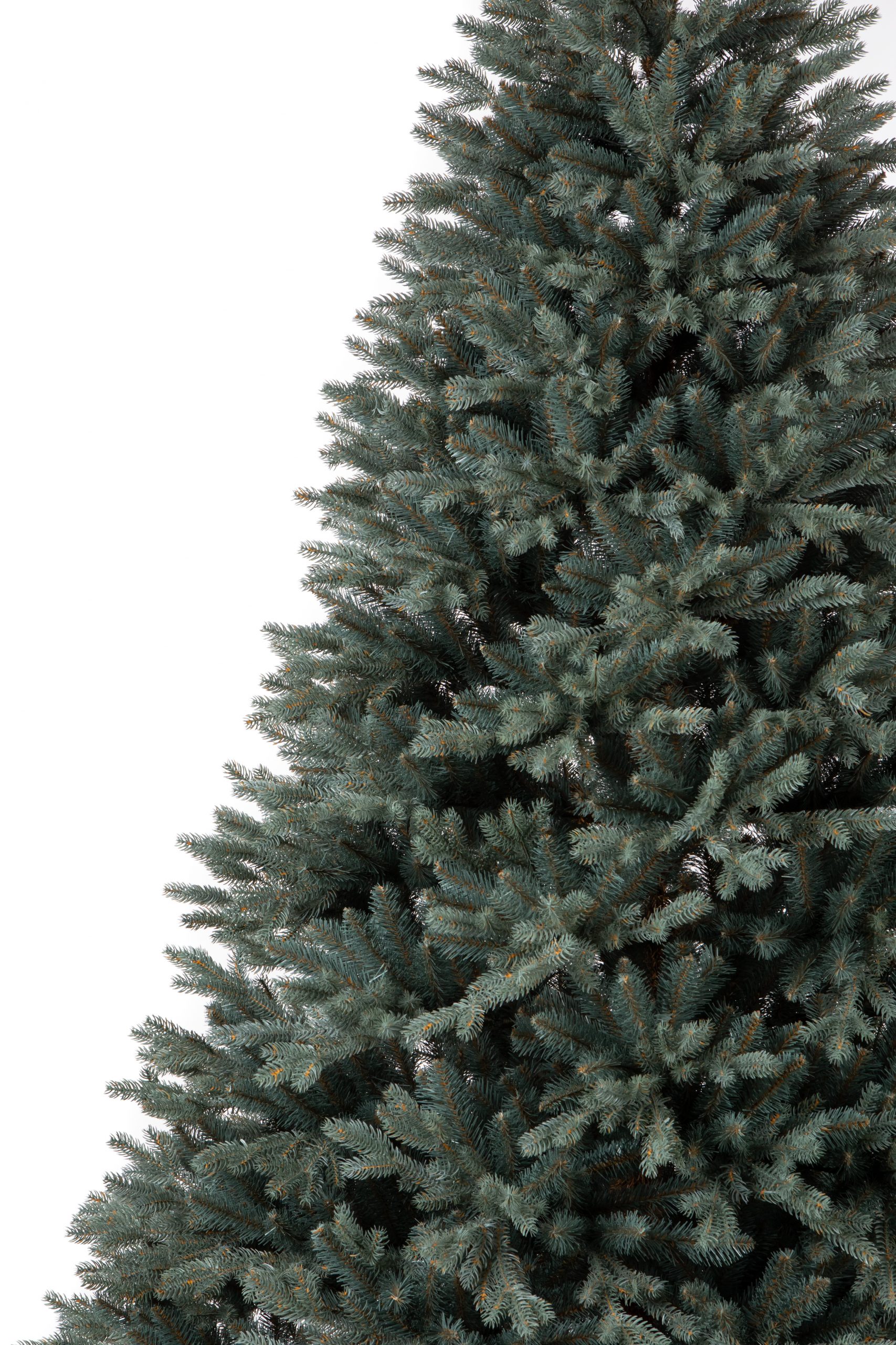 Տոնածառ Silver spruce PE Exclusive, 250 սմ, Մ 156սմ