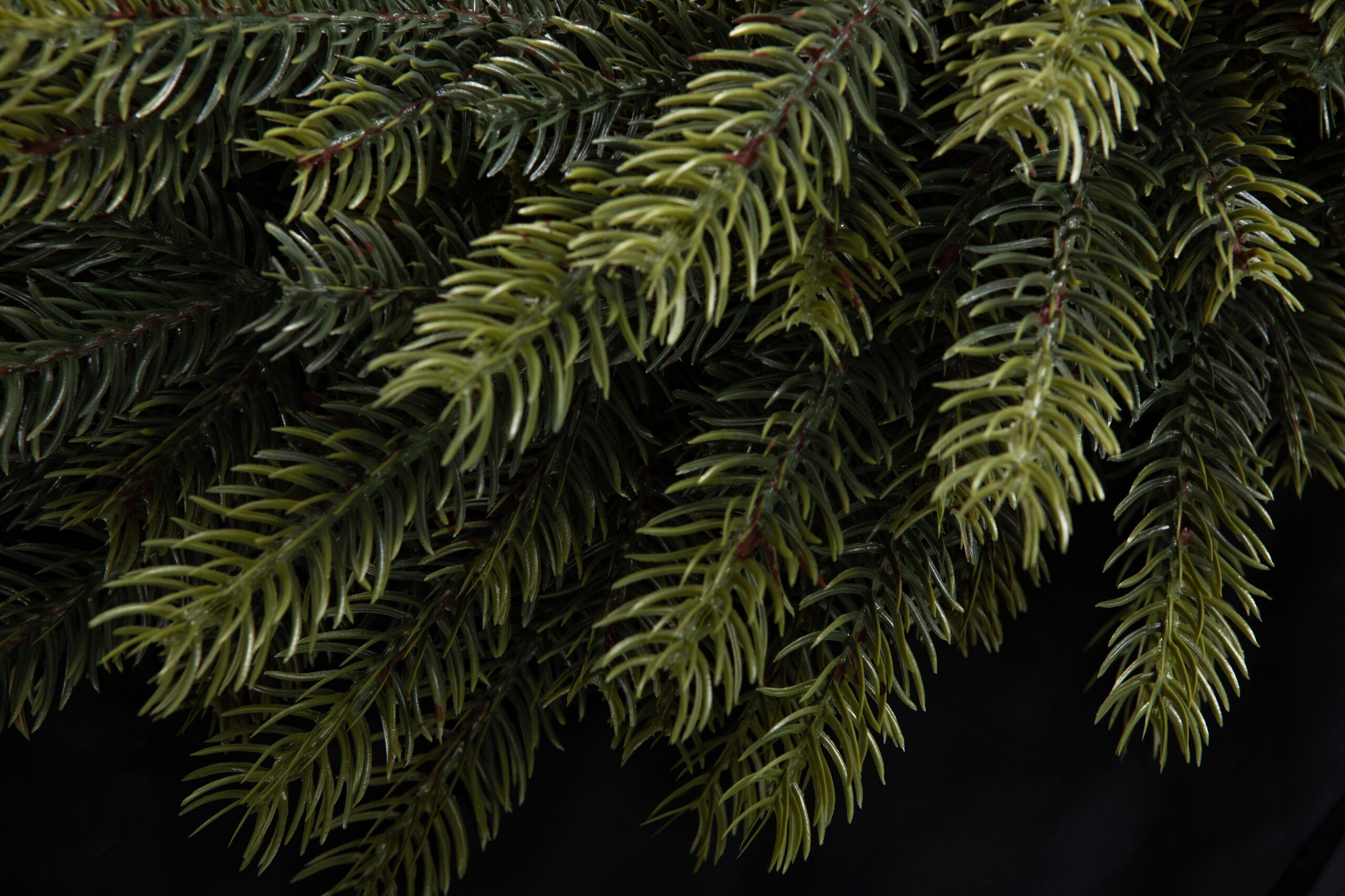 Ամանորյա օղակ CASHMERE SPRUCE PE, 40 սմ