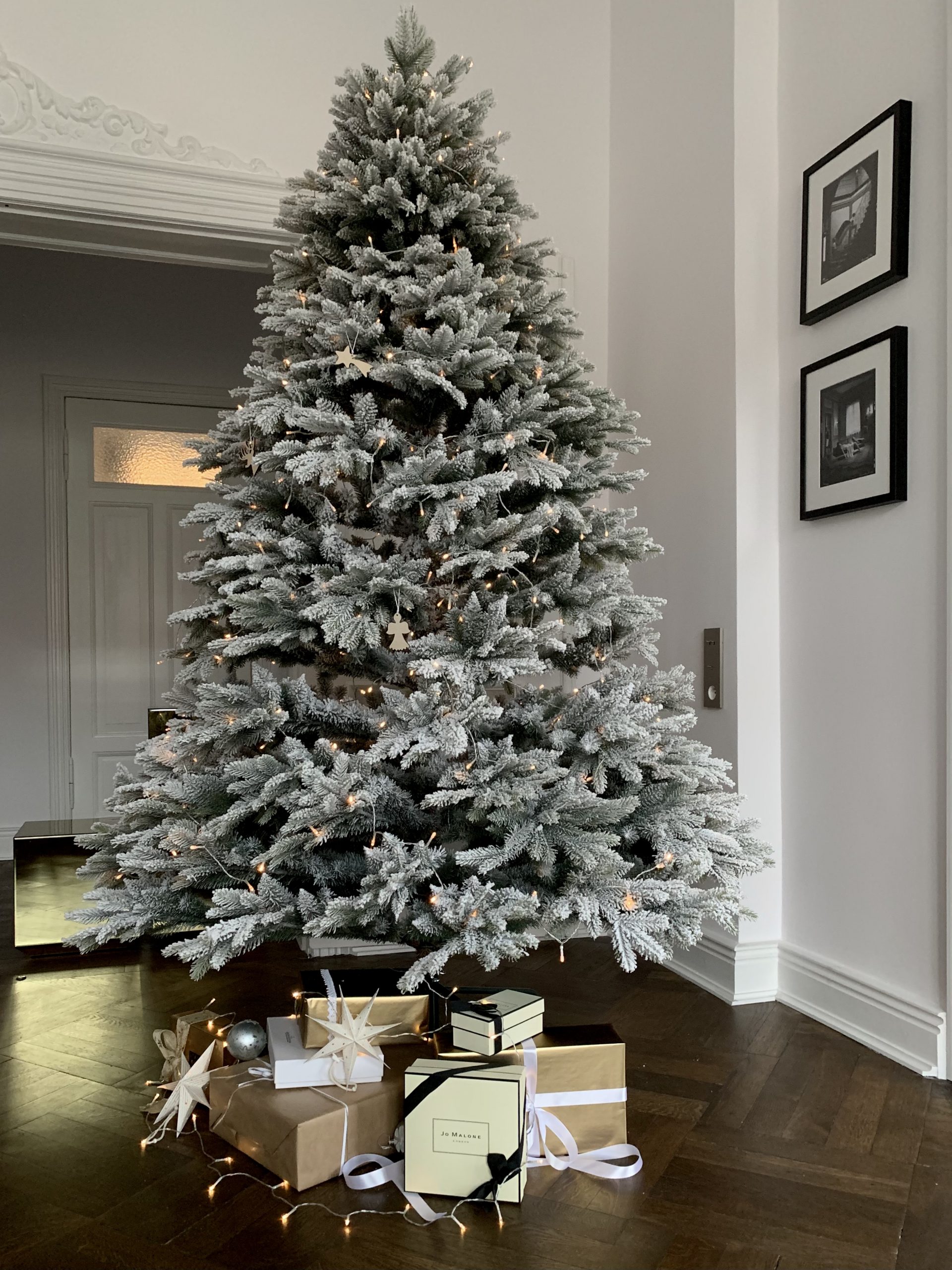 Տոնածառ CANADIAN SPRUCE PE Snow, 250 սմ, Մ 155սմ