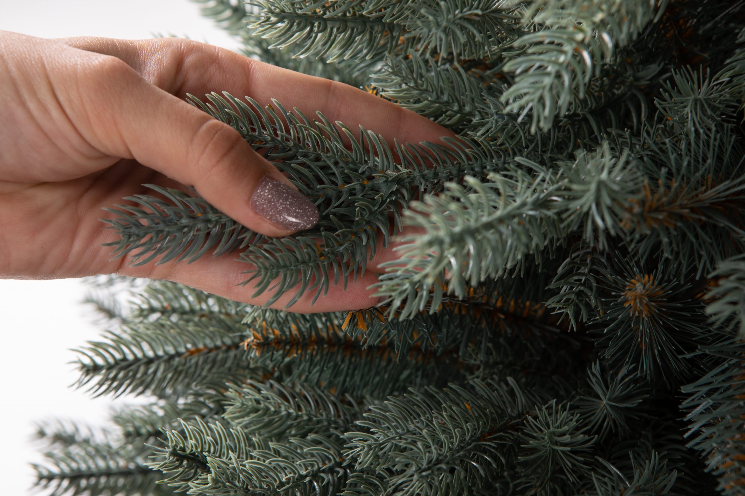Տոնածառ SILVER SPRUCE IN POT PE , 80 սմ, Մ 58սմ