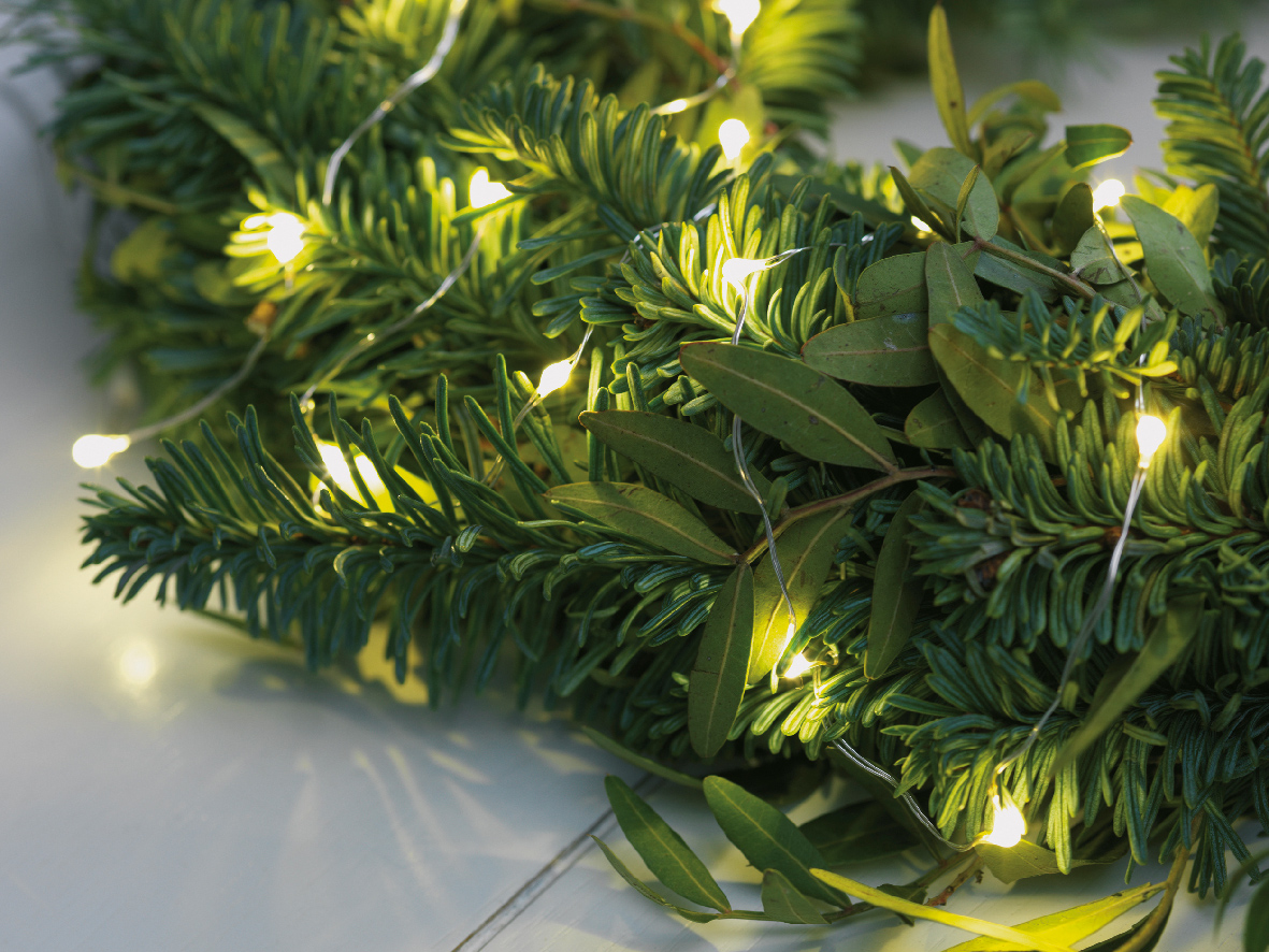 Տոնածառի լույս Micro, 24մ, 480 LED, silver/warm white