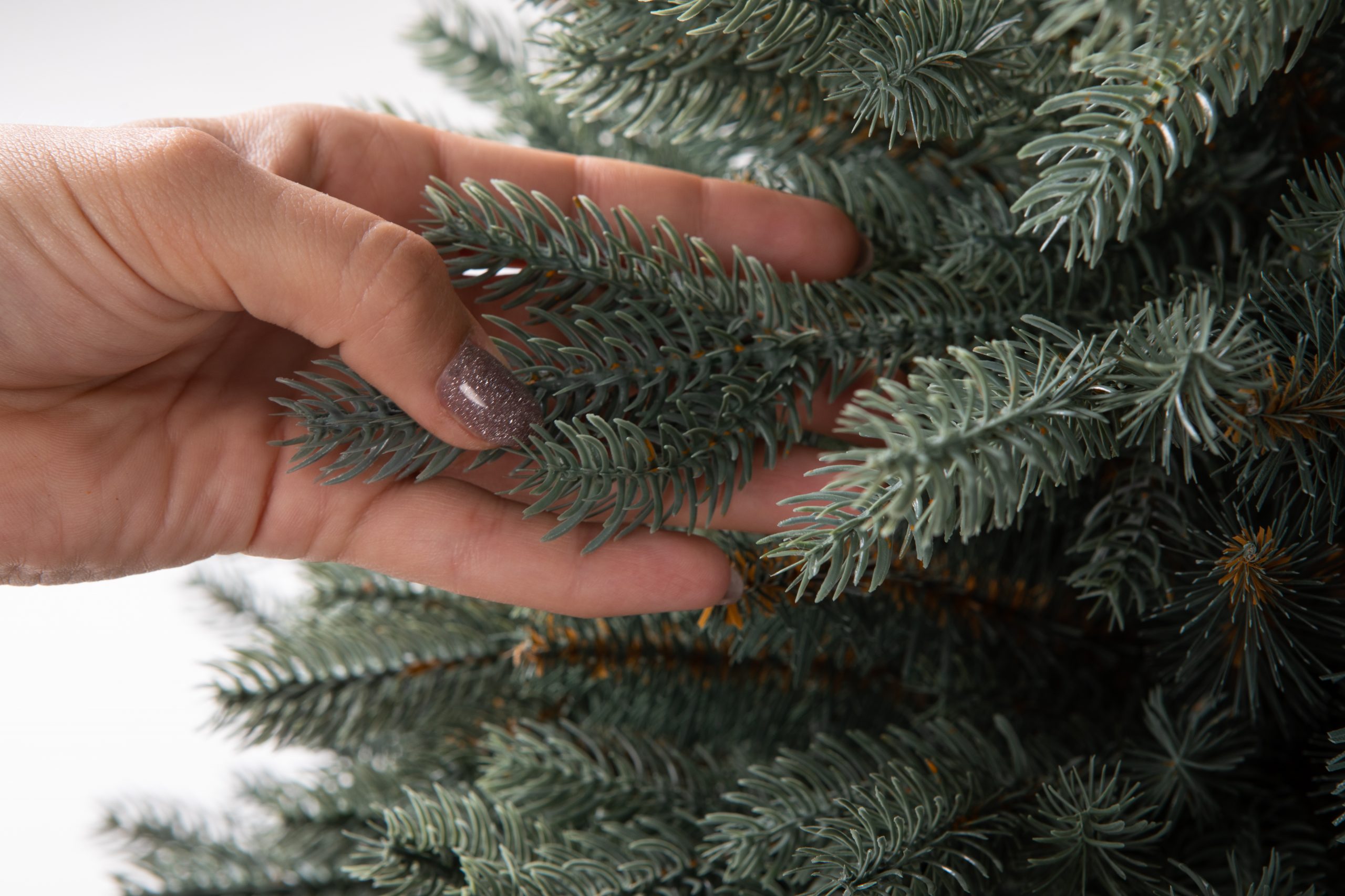 Տոնածառ SILVER SPRUCE IN POT PE , 80 սմ, Ø 58սմ