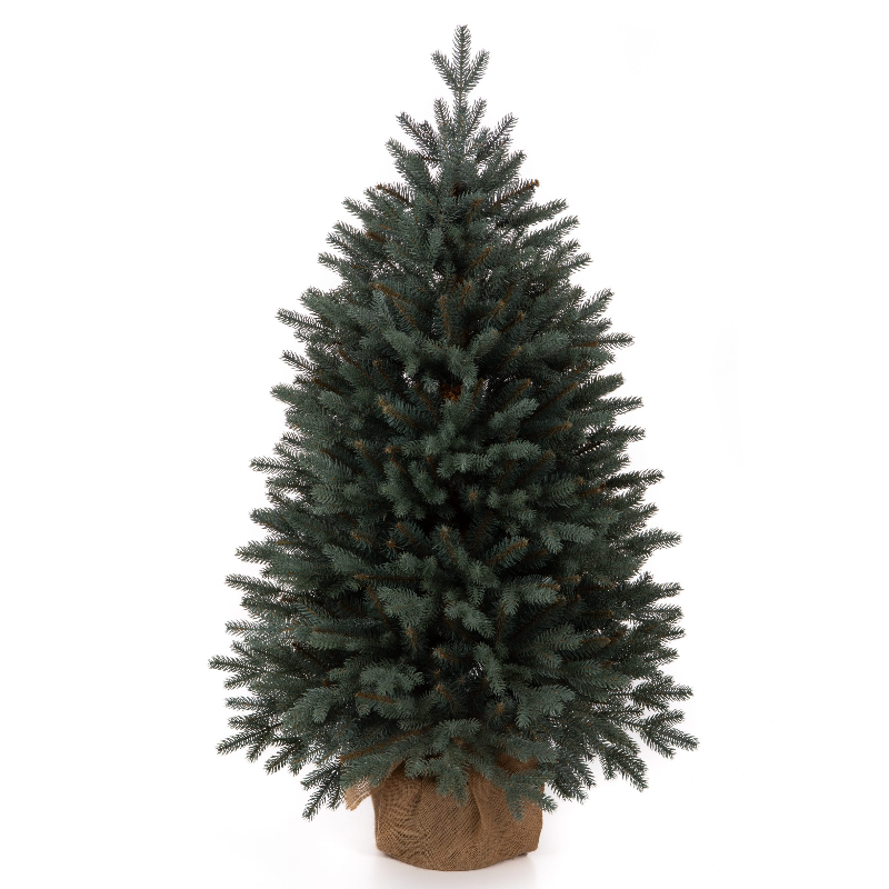 Տոնածառ SILVER SPRUCE IN POT PE , 80 սմ, Ø 58սմ