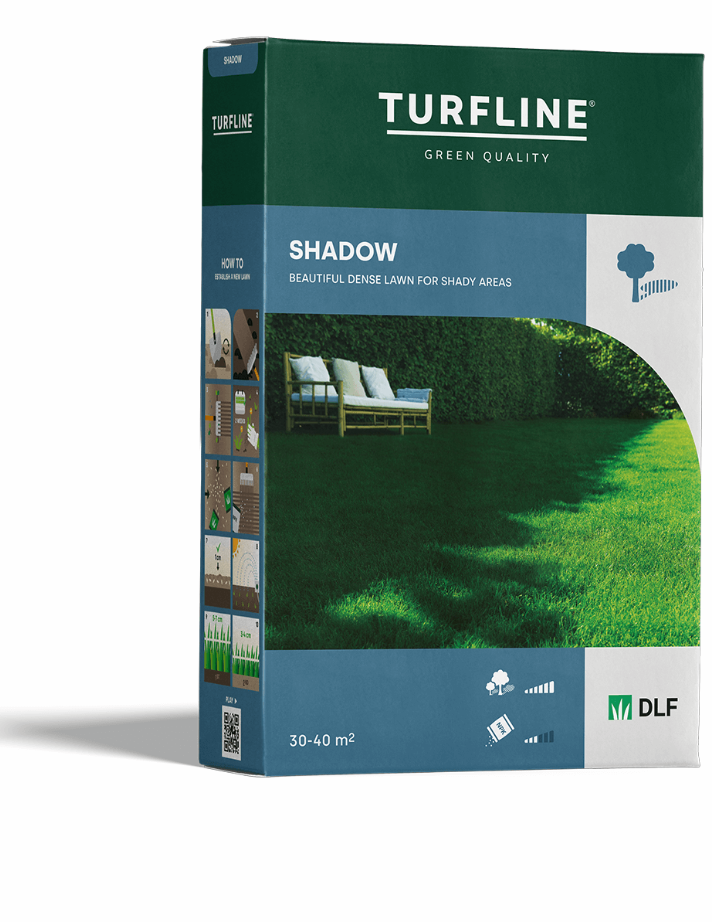 Սիզամարգի սերմ shadow ստվերային 1կգ