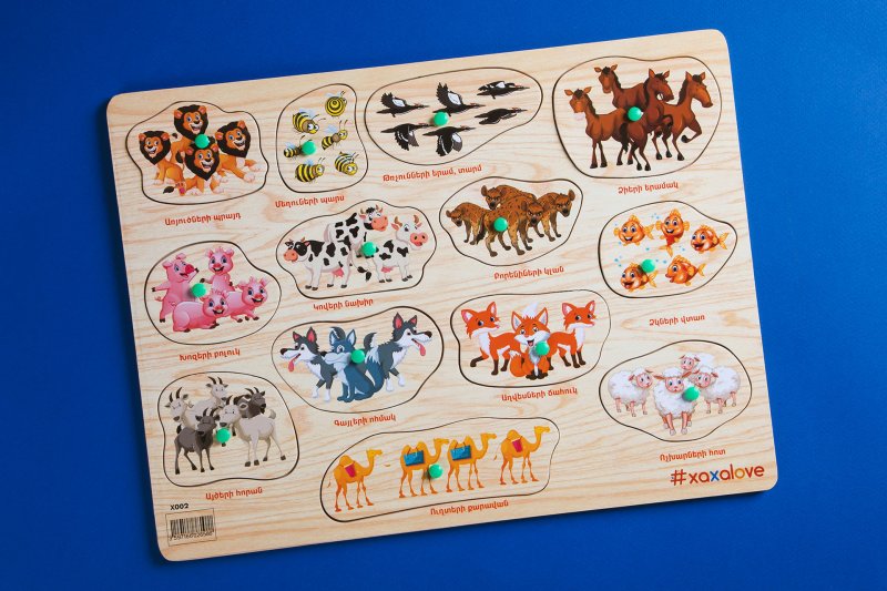 Զարգացնող խաղ «Ճանաչում ենք աշխարհը - Կենդանիներ խմբերով»